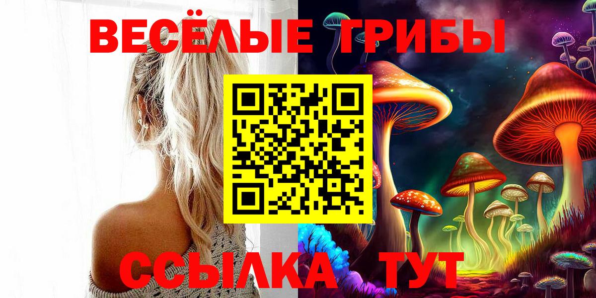 Псилоцибиновые грибы GOLDEN TEACHER Рассказово