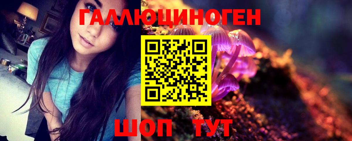 Галлюциногенные грибы Psilocybine cubensis  Вход с VPN  Рассказово  Псилоцибиновые грибы Psilocybe 